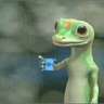 the geico